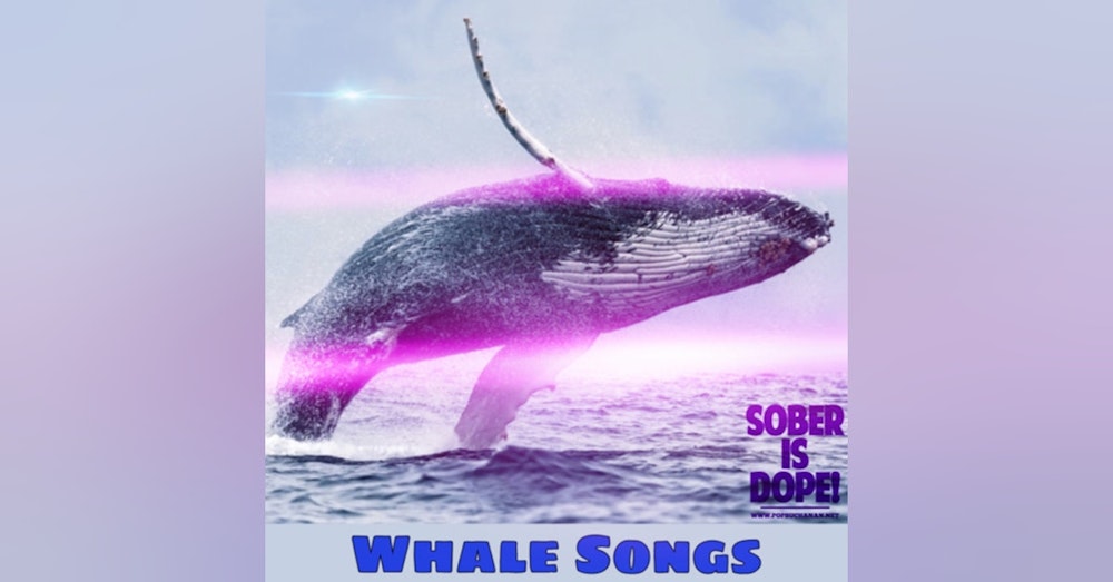 Sacred Whale Songs 
Healing Power of Whale Songs 
Relaxation/Deep Sleep/Consciousness Activation