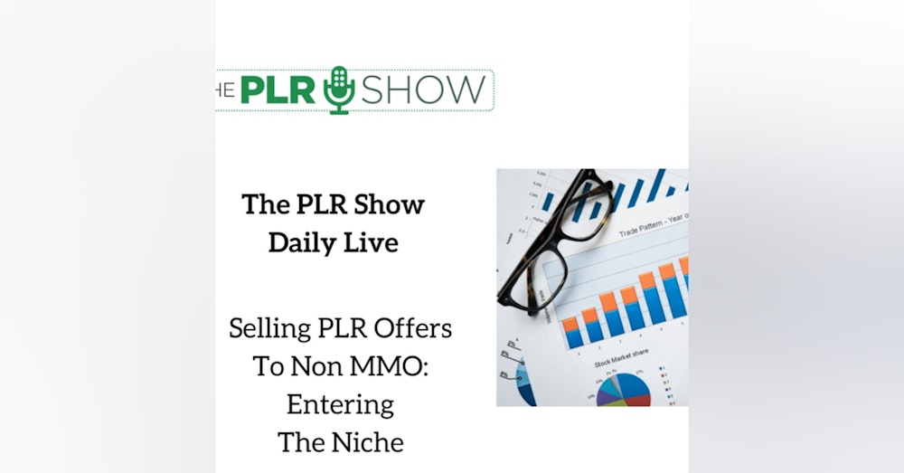 Selling Your PLR Outside of the MMO Niche