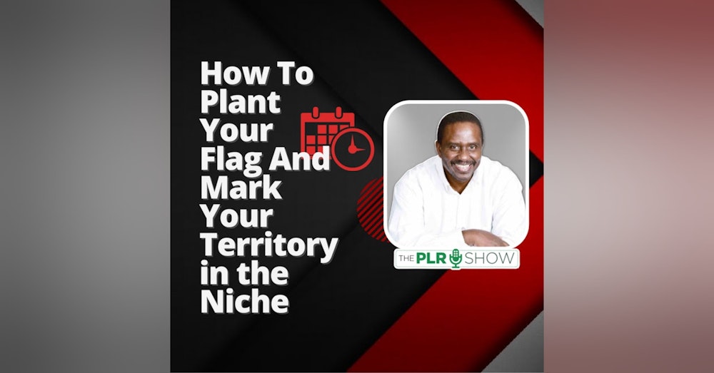 0006 - How to Use PLR On Your Blog - Planting Your Flag - PLR Game Plan