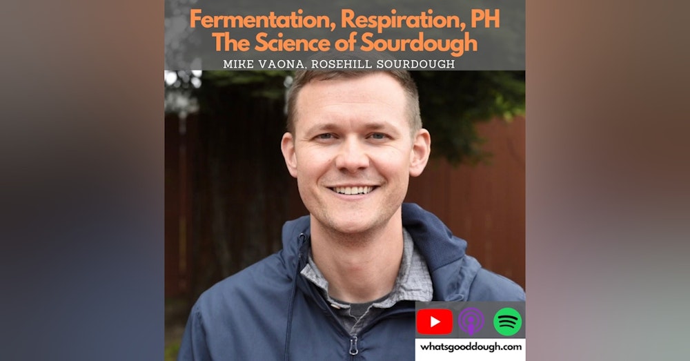 Mike Vaona @rosehillsourdough - Fermentation, Respiration, PH, Sourdough