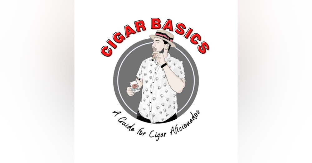 Cigar Basics: Varietals, Criollo, Corojo and Fermentation