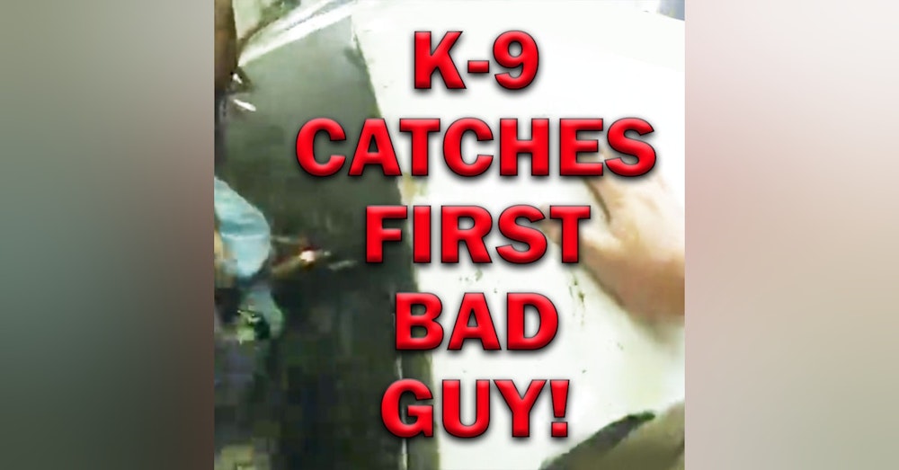 K-9 Apprehends First Bad Guy On Video! LEO Round Table S07E27d
