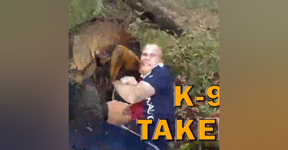 Bad Guy Gives Up To K-9 Jax On Video! LEO Round Table S08E17