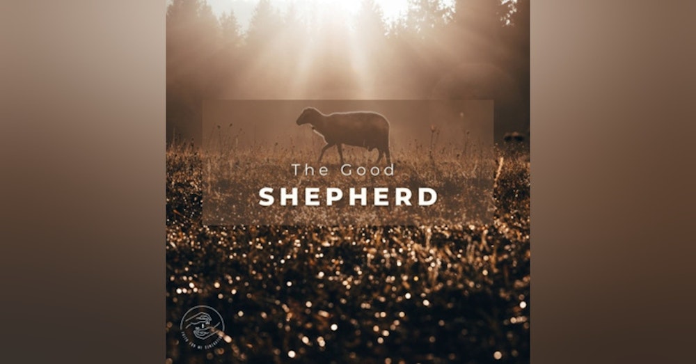 The Good Shepherd (Live Service)