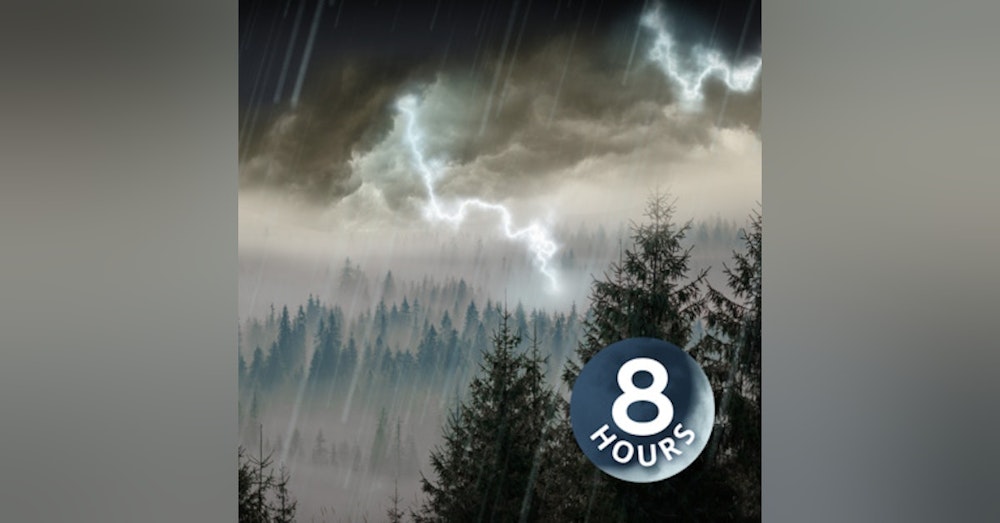 Rain & Thunder 8 Hours | Rainstorm Sounds for Sleep, Studying or Relaxation | Nature White Noise