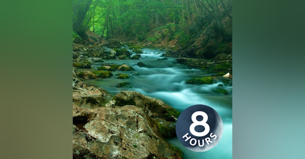 Forest Creek Water Sounds for Stress Relief, Relaxation or Sleep 8 Hours