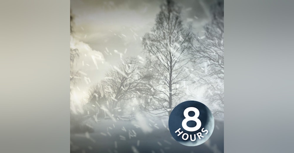 Arctic Blizzard 8 Hours | Storm White Noise for Relaxation, Focus or Sleep