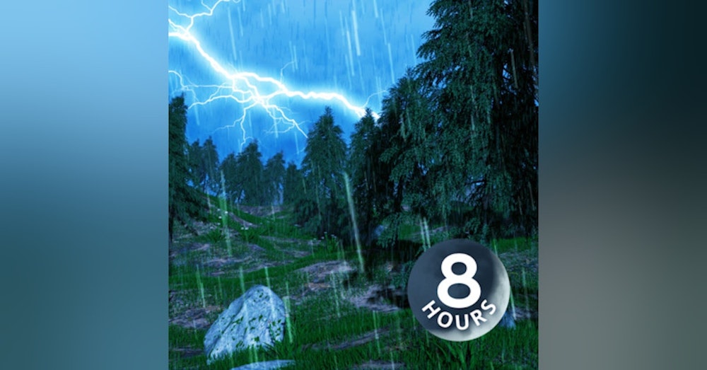 Forest Rain Sounds for Sleep | Thunderstorm White Noise 8 Hours