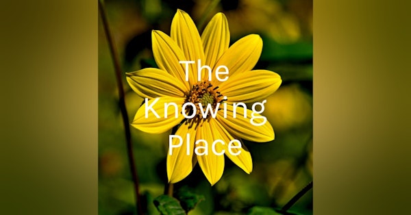 The Knowing Place Newsletter Signup