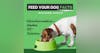 How to Find the Right Puppy Food?