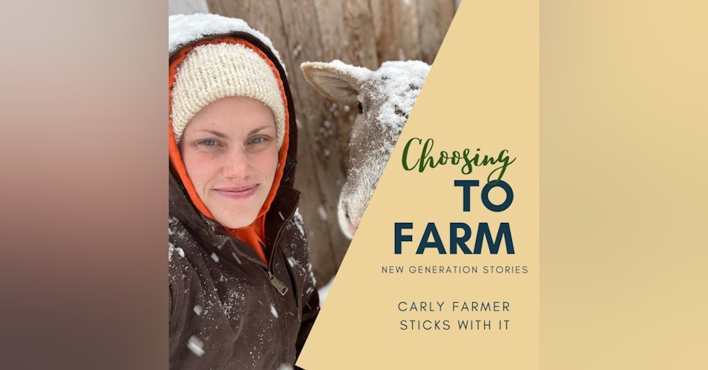 Carly Farmer Sticks With It