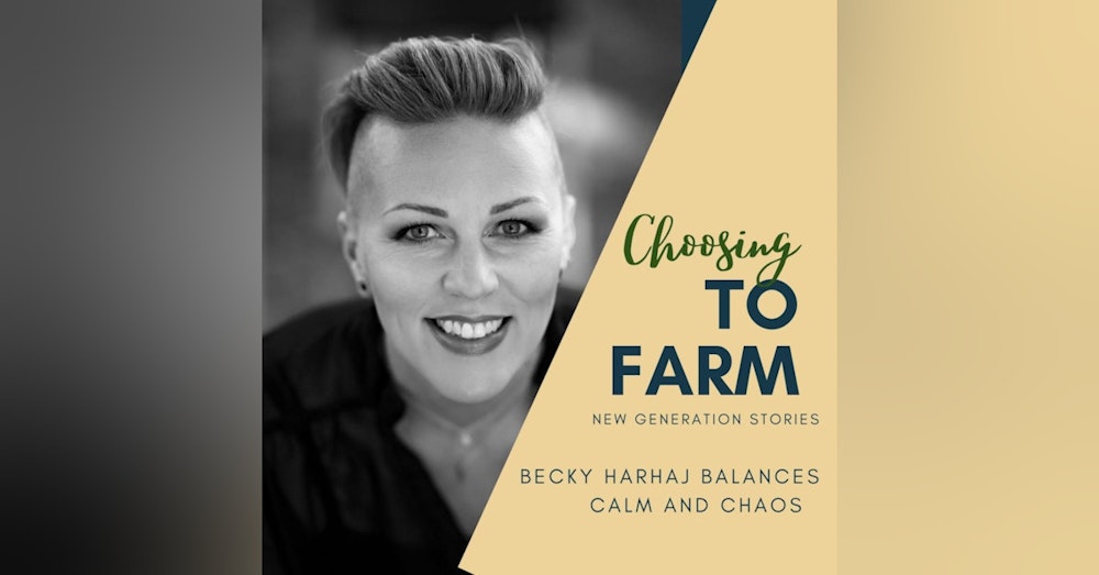 Becky Harhaj Balances Calm and Chaos
