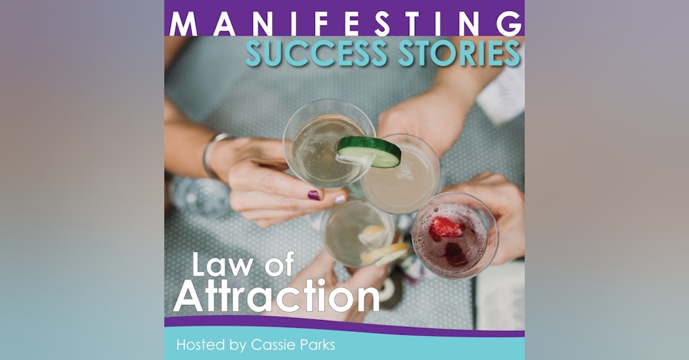 Ep #208: Learning to Trust Hesitation for Law of Attraction Success