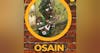 Osain Ozain Osayin Osanyin Orisha Herbs Ewe Lukumi Santeria Ifa Nature Tradtitonal Medicine