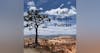 #5 Bryce Canyon National Park with Kelly Wood