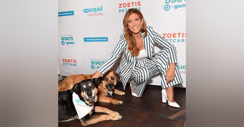Kate Walsh Actor Umbrella Academy, Grey’s Anatomy, Advocate for Dogs