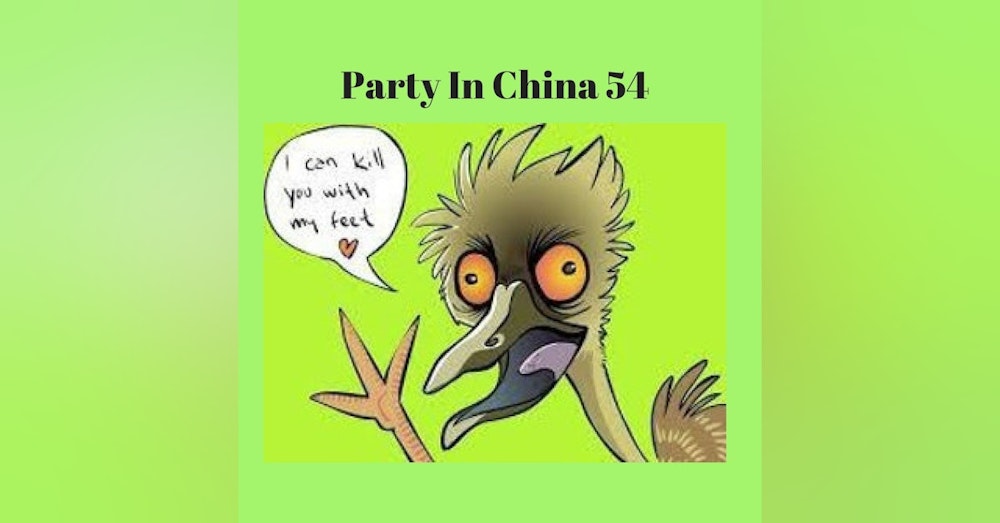 Party In China Episode 54