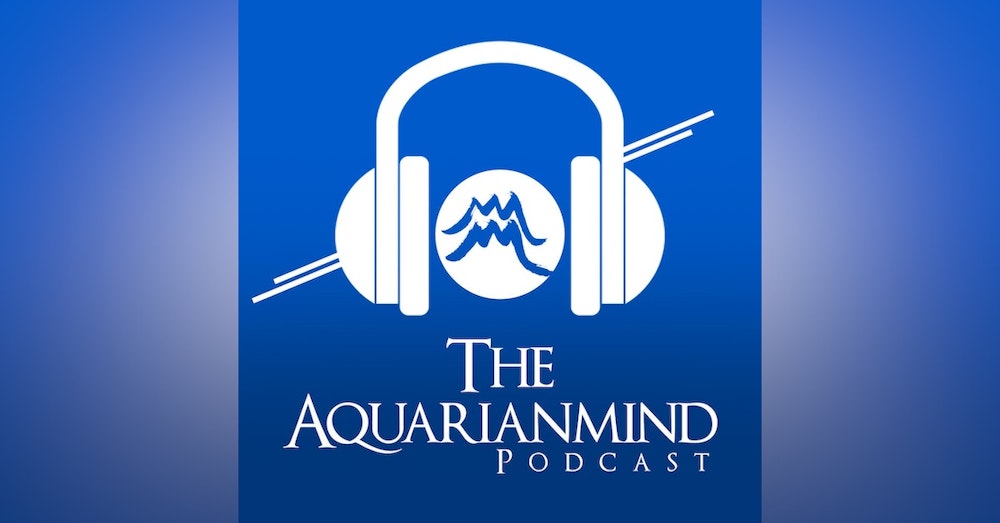 Podcast #238-The Spiritual Journey of Life