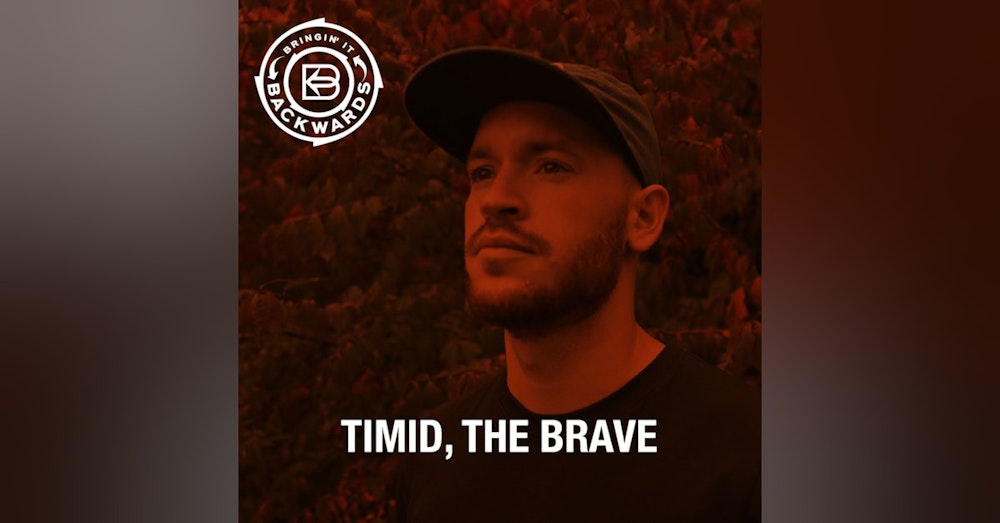 Interview with Timid, the Brave