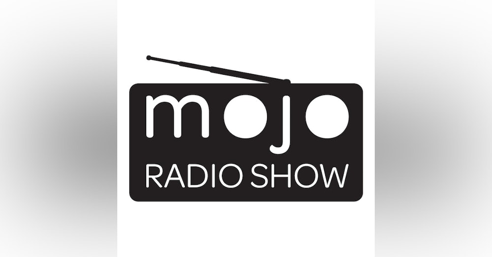The Mojo Radio Show EP 254: The Dichotomy of Leadership - Leif Babin