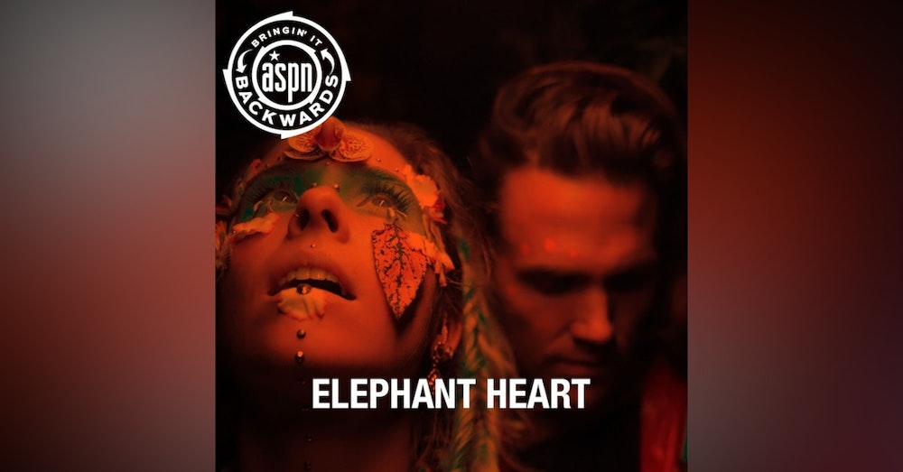 Interview with Elephant Heart