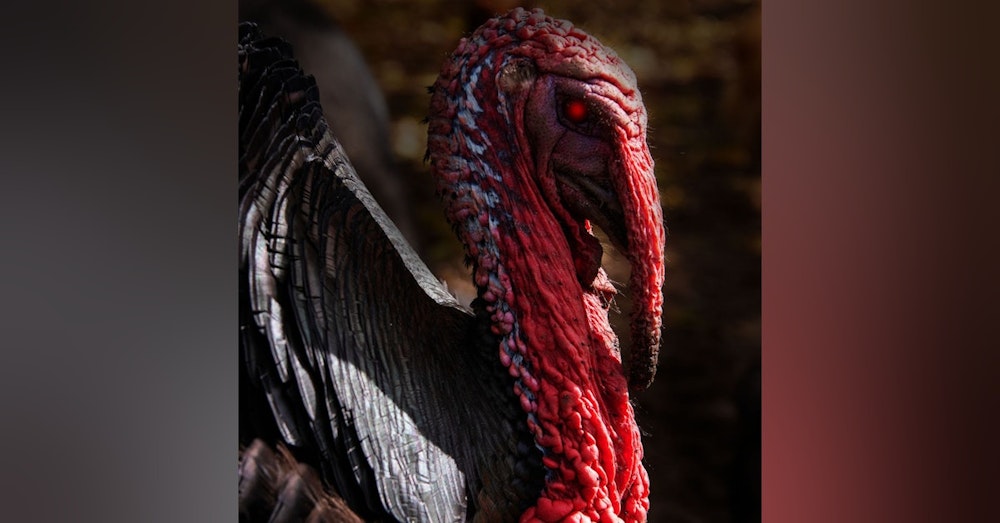 Ep.166 – Turkey Terror - The Thanksgiving Hunt is On!
