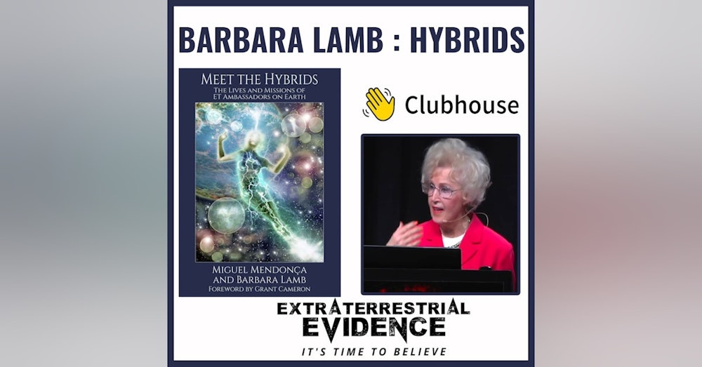 Barbara Lamb - Hybrid Disclosure 