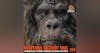 Montana Bigfoot DNA Discovery / Unseen Sasquatch Trail Cam Photos / Ken Medsker