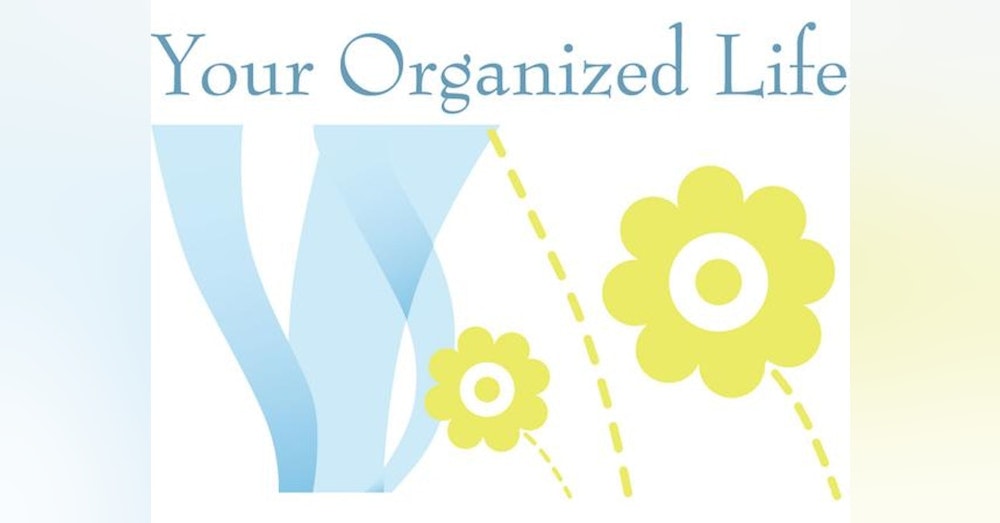Lisa Dooley Owner of Your Organized Life in the Business Spotlight on WoMRadio