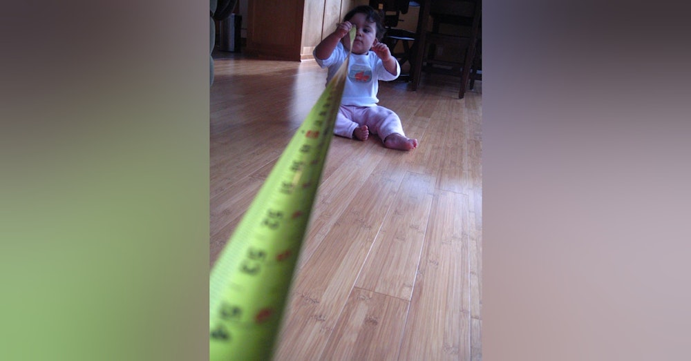 The Yard Stick – How we measure up and what is the measure of a human?