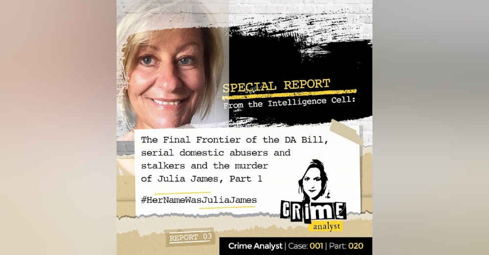 20: Special Report from the Intelligence Cell | The Final Frontier of the Domestic Abuse Bill, Serial Domestic Abusers and Stalkers and Julia James’ Murder, Part. 1