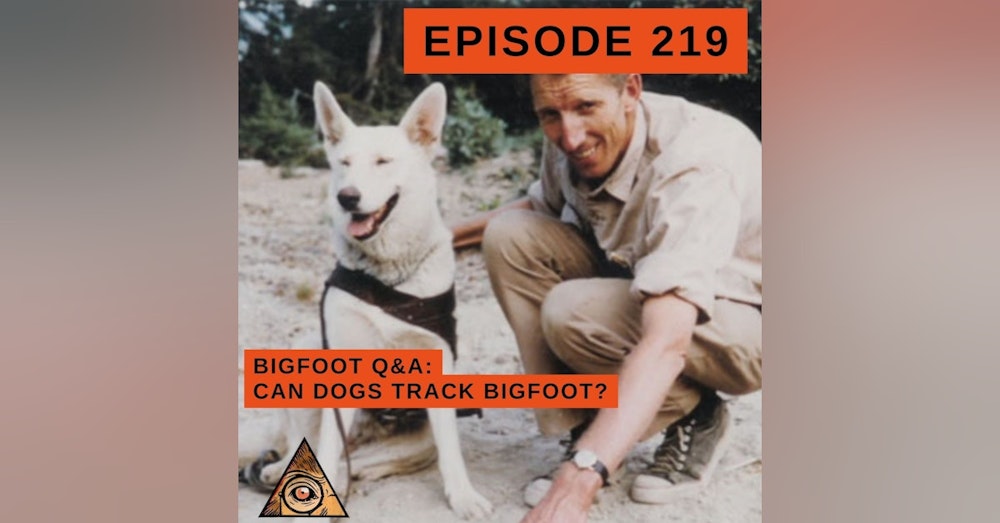 Unleashing the Secrets of Bigfoot Tracking: Can Dogs Help? A Bigfoot Q&A Session