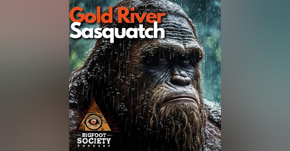 Searching for Sasquatch on Vancouver Island: A Captivating Chat with Keith from Gold River, British Columbia