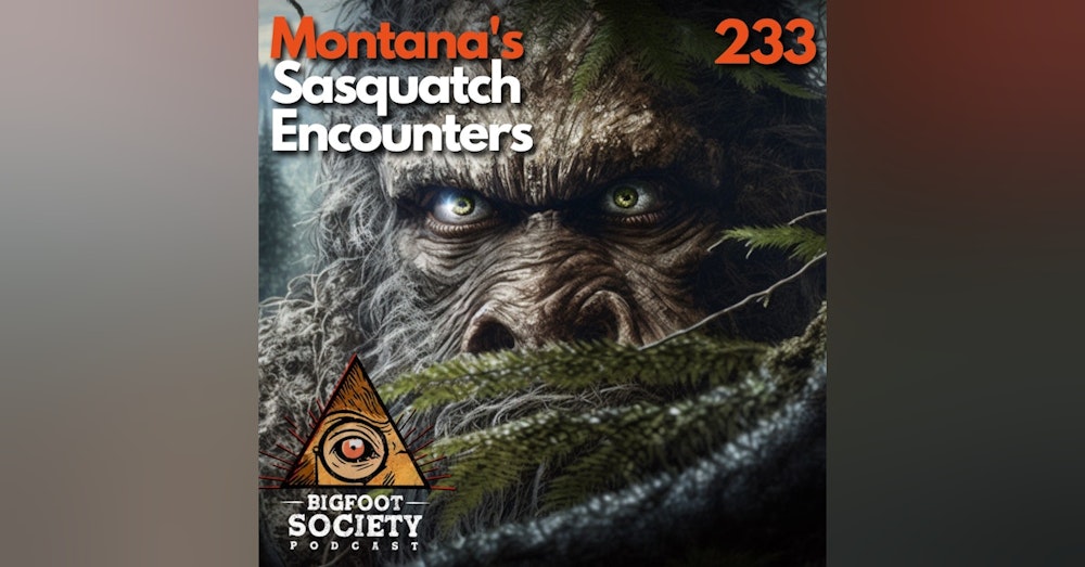 A Hunter's Close Encounters with Sasquatch in Montana's Tobacco Root Mountains