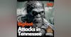 Bigfoot Encounters in Tennessee with Elijah Henderson
