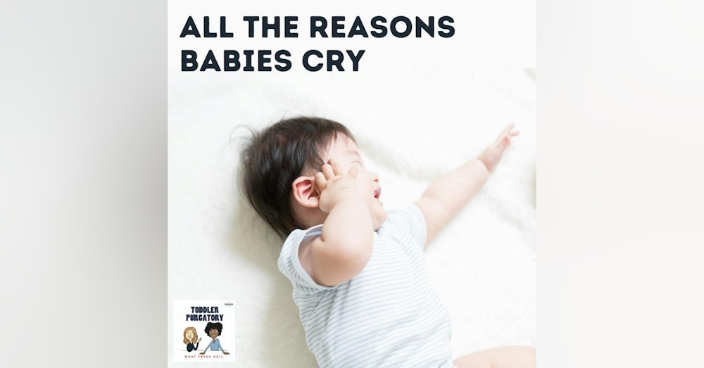All the Reasons Babies Cry