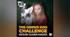 The Dog Genius Challenge with Dr. Claudia Fugazza | The Long Leash #72