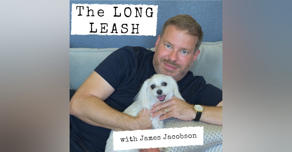 Dogs sell tacos and trucks. Can they sell a President? | The Long Leash