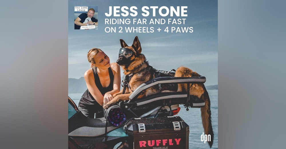 Jess Stone: Riding Far and Fast on 2 Wheels + 4 Paws | The Long Leash #38