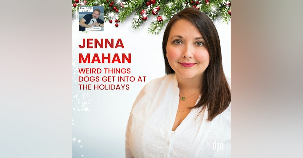 Jenna Mahan: Weird Things Dogs Get Into At The Holidays | The Long Leash #40
