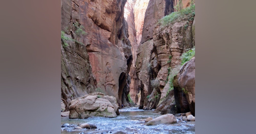#06: Zion National Park: Hiking The Narrows