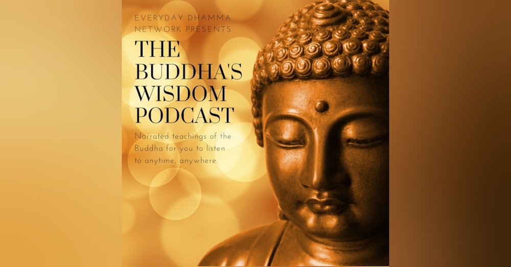 The Dhammapada | 7. The Arahant