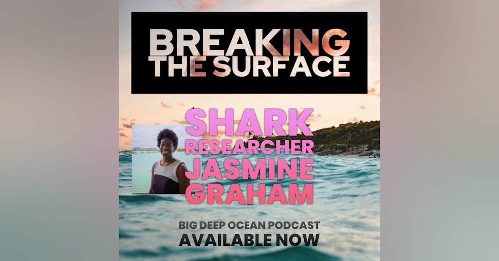 Breaking The Surface - Shark researcher Jasmine Graham on the surprisingly deep connections which attracted her to sharks