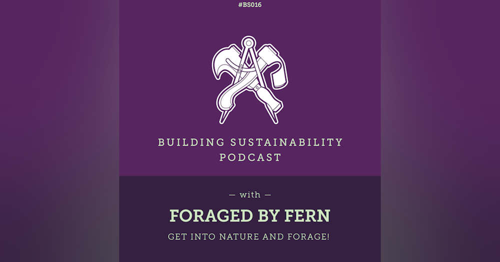 Get into nature and forage! - Foraged by Fern - BS016