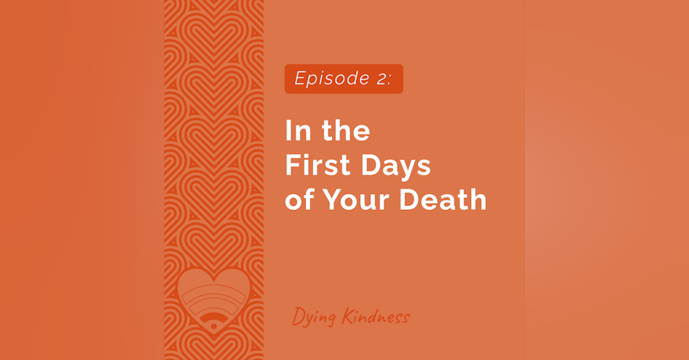 2: In the First Days of Your Death