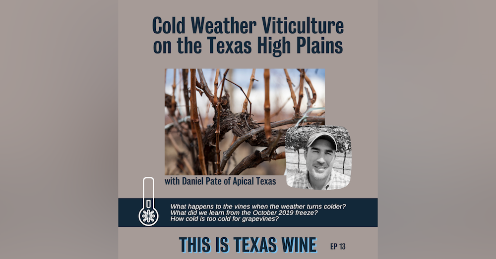 Cold Weather Viticulture with Daniel Pate of Apical Texas