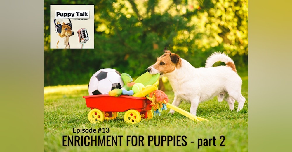 Enrichment for Puppies Part 2