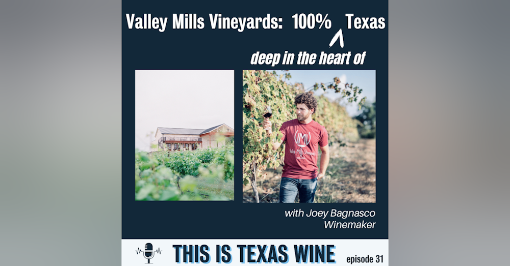 Joey Bagnasco of Valley Mills Vineyards