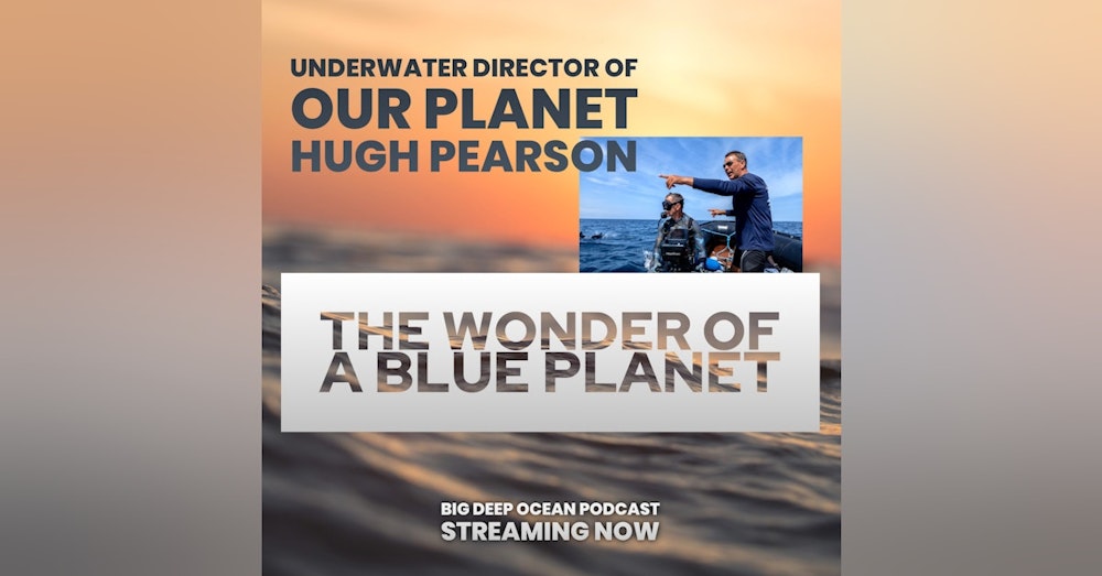 The Wonder of a Blue Planet: Hugh Pearson on filming iconic scenes from the oceans of our world