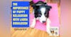 The Importance of Puppy Relaxation with Laura Donaldson